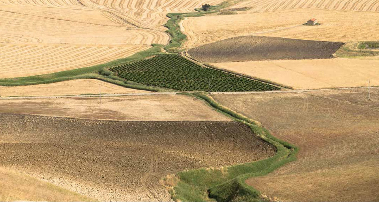 Wijn - Castellucci Miano