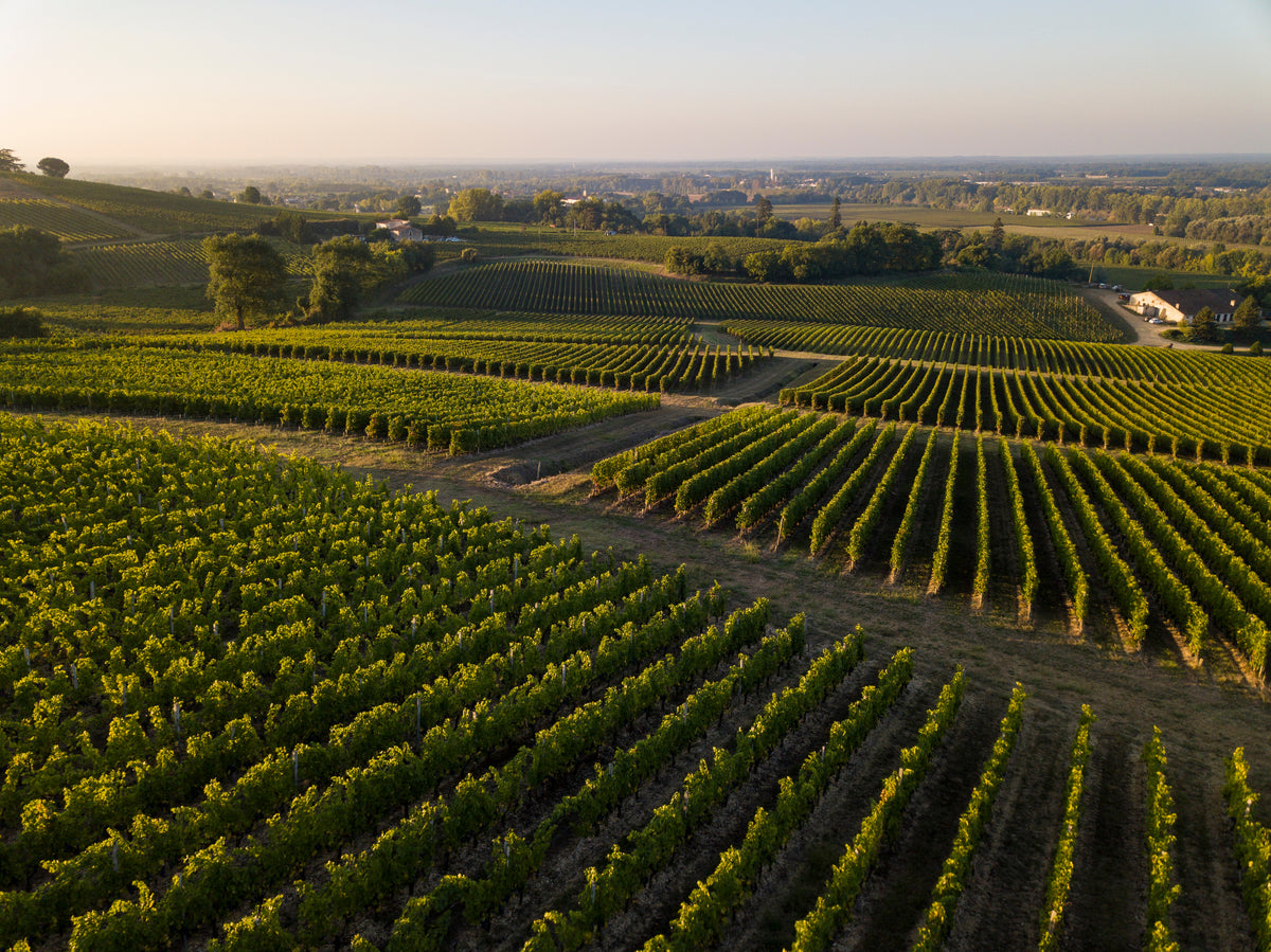 Luchtfoto van wijngaarden in Bordeaux.