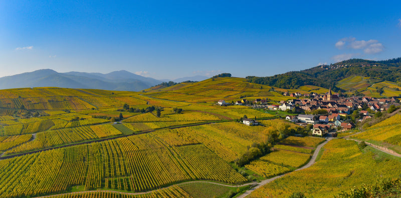 Regio in de kijker: Alsace