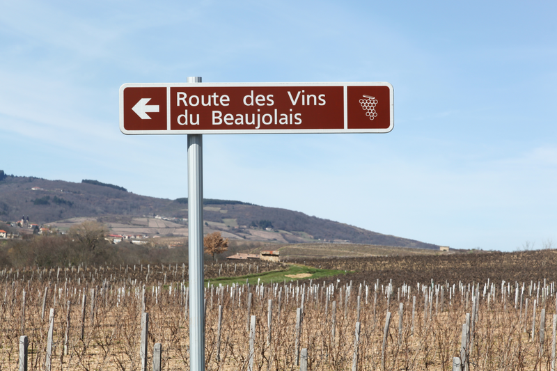 Regio in de kijker: Beaujolais