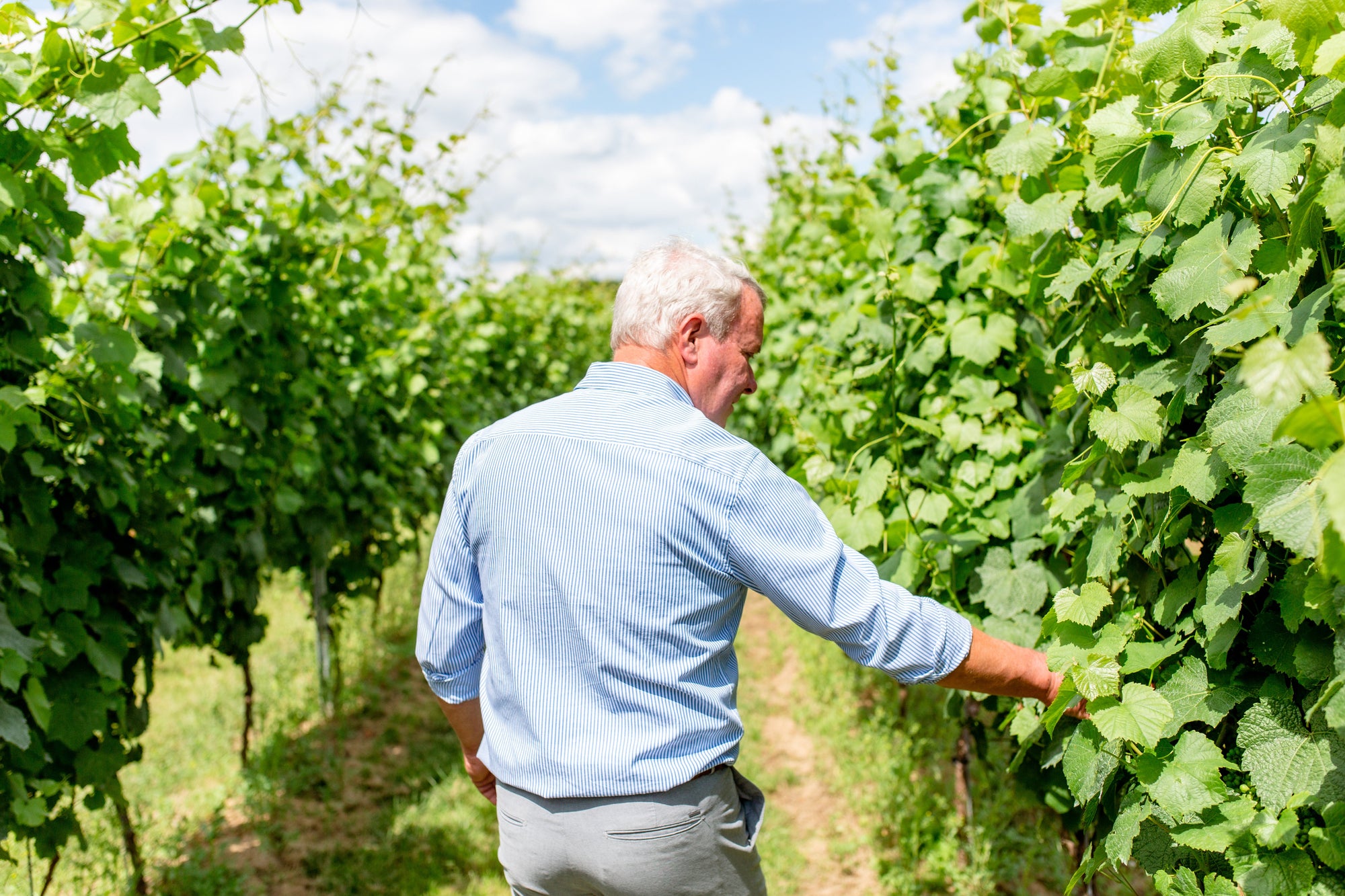 Wijn - Gloire de Duras