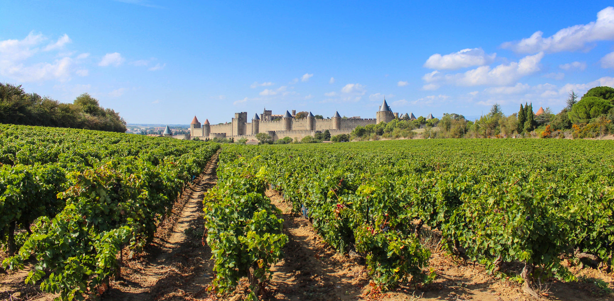 Wijn - Languedoc-Roussillon