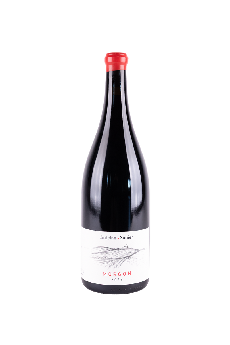 Antoine Sunier - Morgon "Croix de Chèvre" 2024
