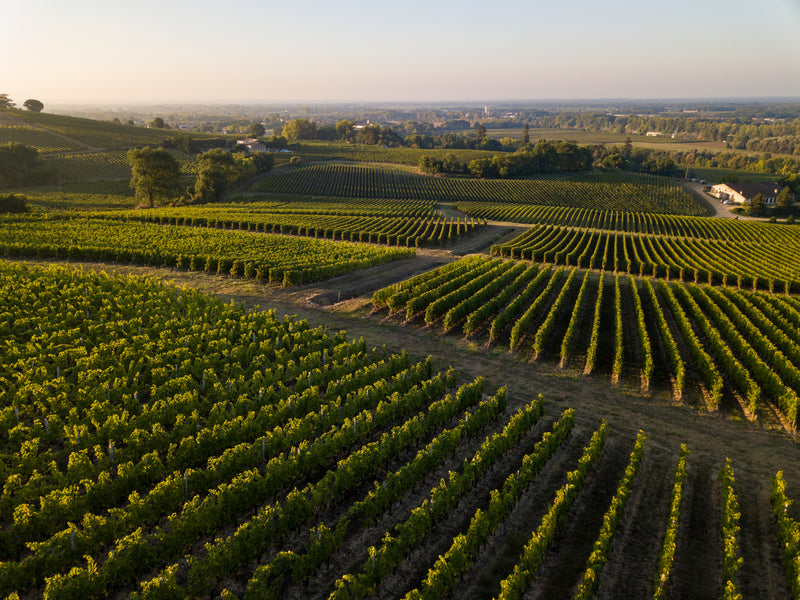 Luchtfoto van wijngaarden in Bordeaux.