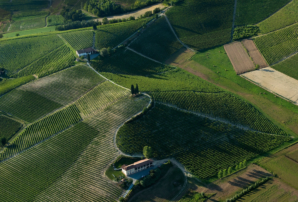 Luchtfoto van de cru-wijngaard La Court in Nizza van Michele Chiarlo.