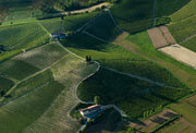 Luchtfoto van de cru-wijngaard La Court in Nizza van Michele Chiarlo.